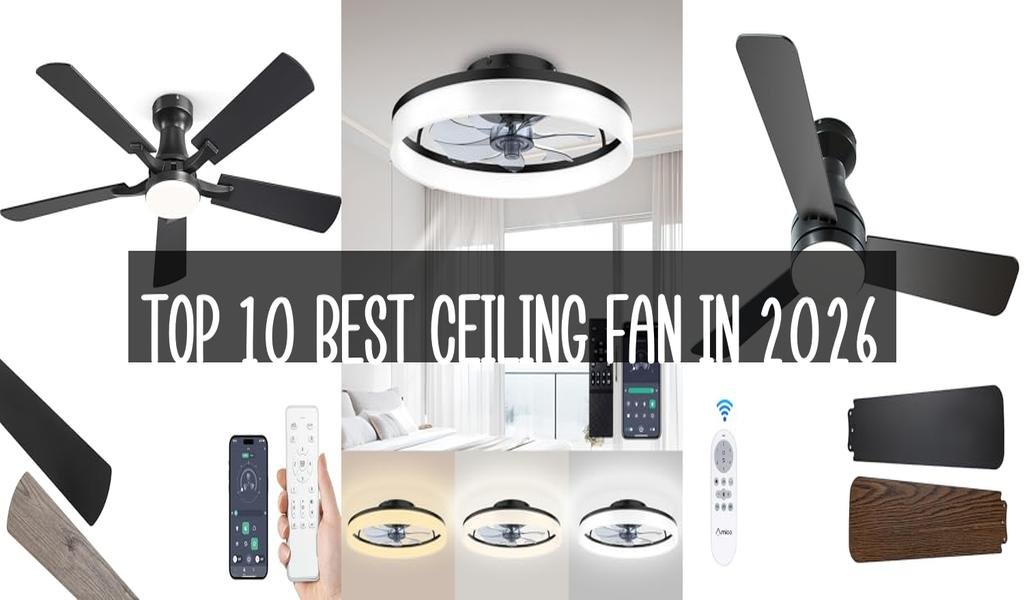 Top 10 Best Ceiling Fan in 2026