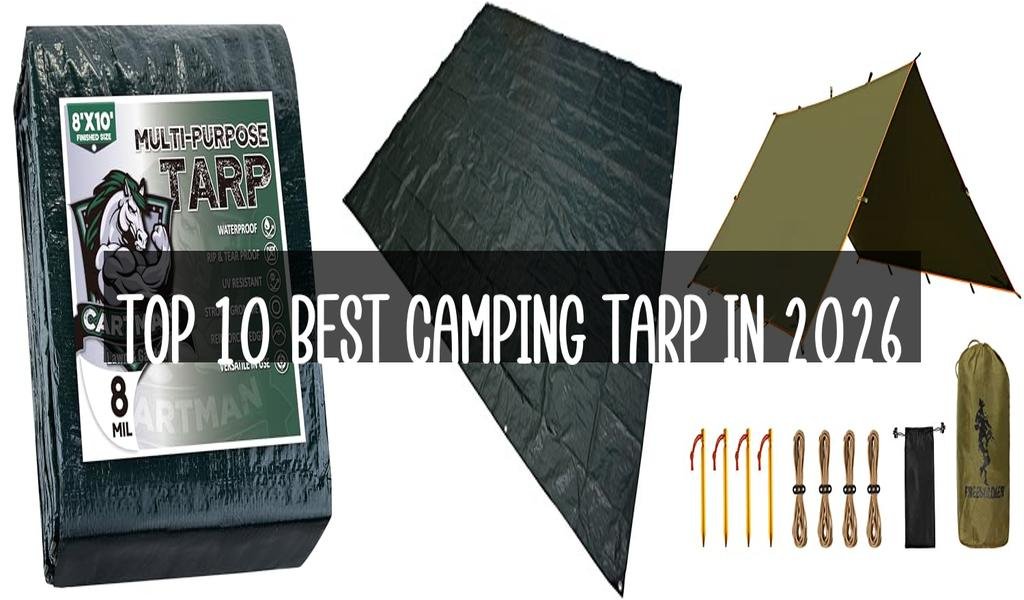Top 10 Best Camping Tarp in 2026