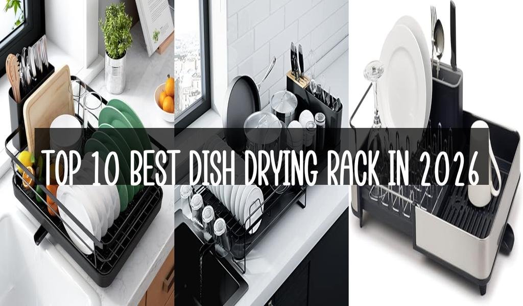 Top 10 Best Dish Drying Rack in 2026
