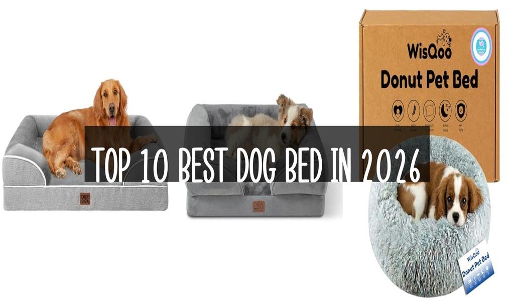 Top 10 Best Dog Bed in 2026