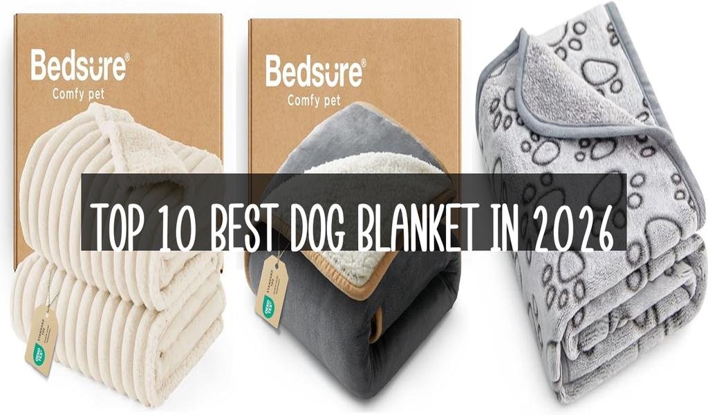 Top 10 Best Dog Blanket in 2026